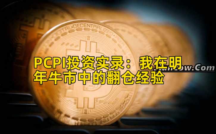 PCPI投资实录：我在明年牛市中的翻仓经验插图