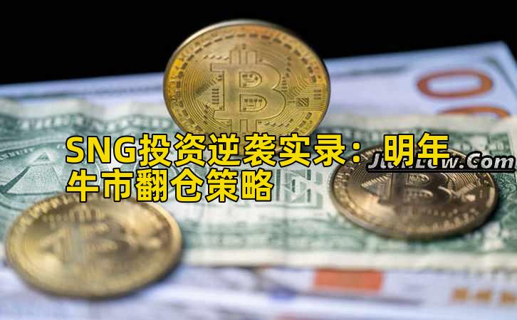 SNG投资逆袭实录:明年牛市翻仓策略插图 SNG投资逆袭实录:明年牛市翻仓策略插图