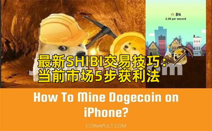 最新SHIBI交易技巧：当前市场5步获利法插图