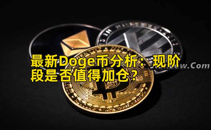 最新Doge币分析：现阶段是否值得加仓？插图