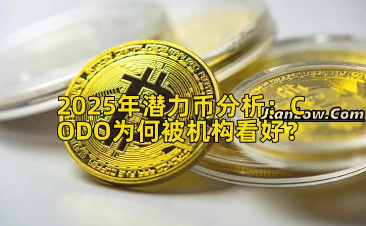 2025年潜力币分析:CODO为何被机构看好?插图 2025年潜力币分析:CODO为何被机构看好?插图