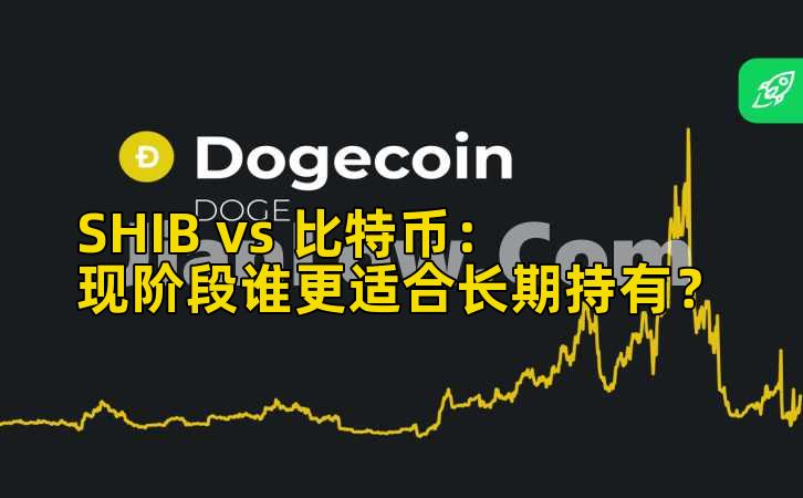 SHIB vs 比特币：现阶段谁更适合长期持有？插图