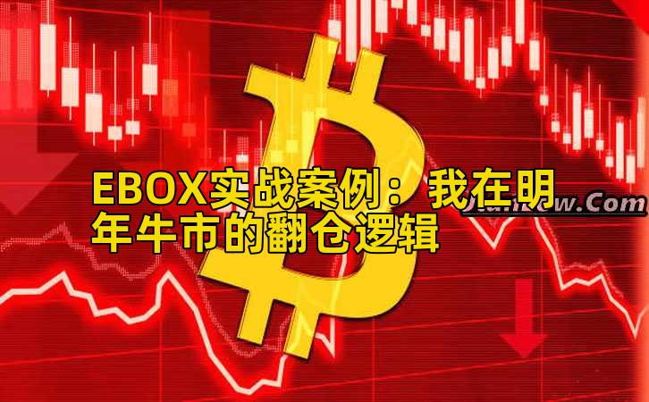 EBOX实战案例:我在明年牛市的翻仓逻辑插图 EBOX实战案例:我在明年牛市的翻仓逻辑插图