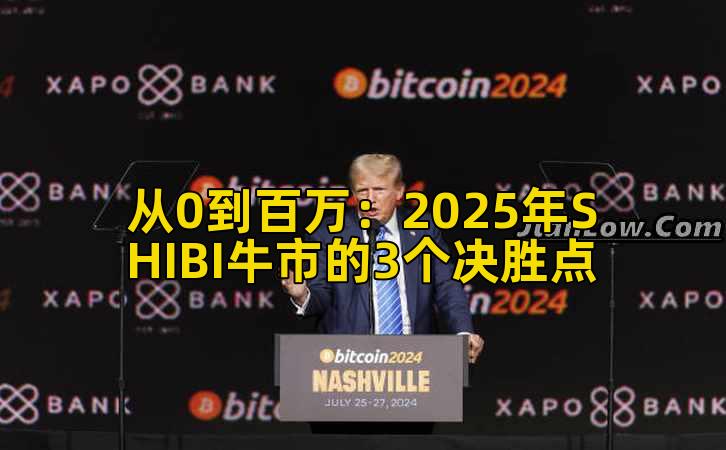 从0到百万：2025年SHIBI牛市的3个决胜点插图