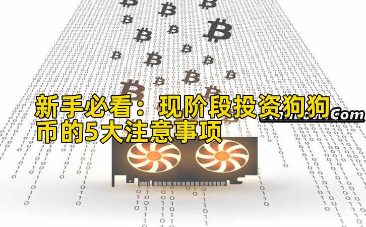 新手必看:现阶段投资狗狗币的5大注意事项插图 新手必看:现阶段投资狗狗币的5大注意事项插图