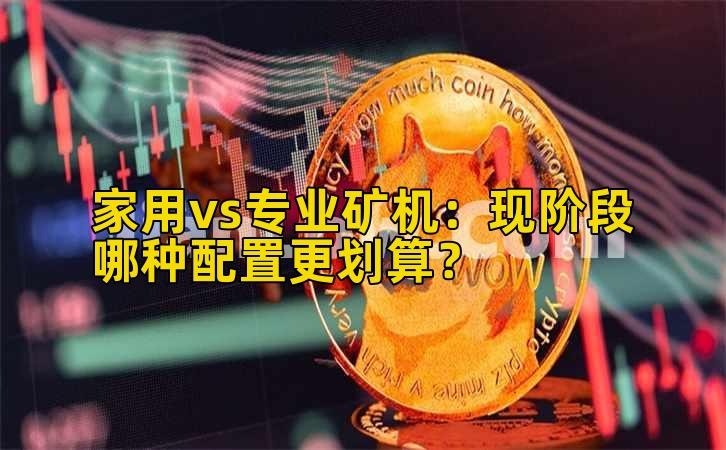 家用vs专业矿机：现阶段哪种配置更划算？插图