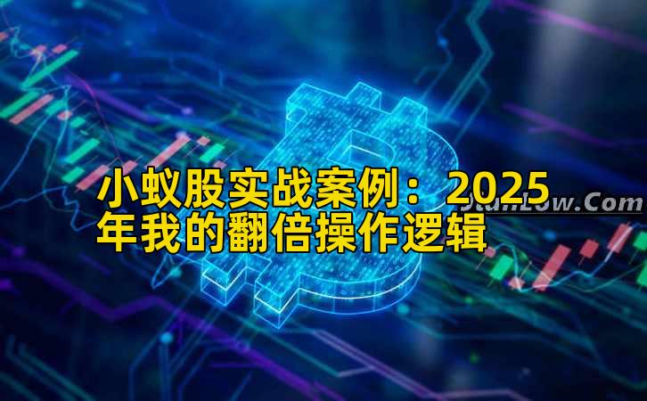 小蚁股实战案例：2025年我的翻倍操作逻辑插图