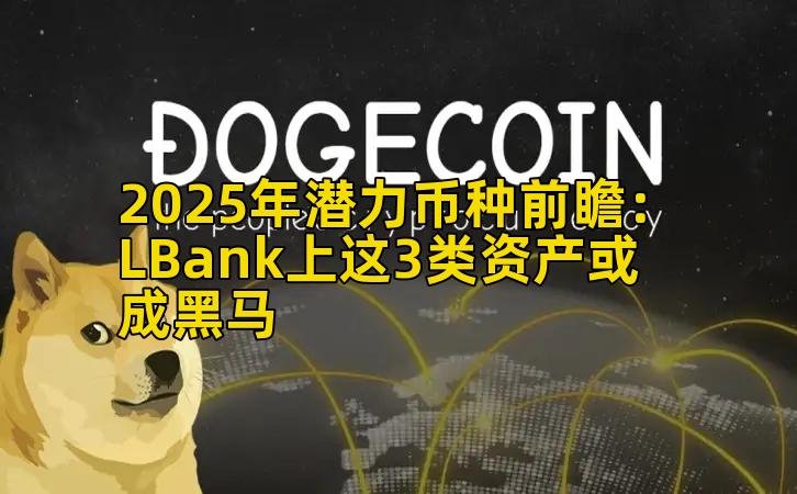 2025年潜力币种前瞻:LBank上这3类资产或成黑马插图 2025年潜力币种前瞻:LBank上这3类资产或成黑马插图