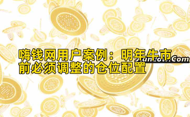 嗨钱网用户案例：明年牛市前必须调整的仓位配置插图