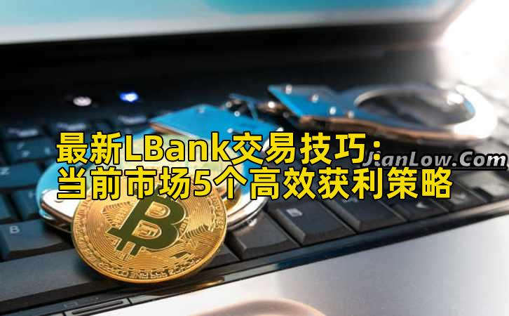 最新LBank交易技巧:当前市场5个高效获利策略插图 最新LBank交易技巧:当前市场5个高效获利策略插图