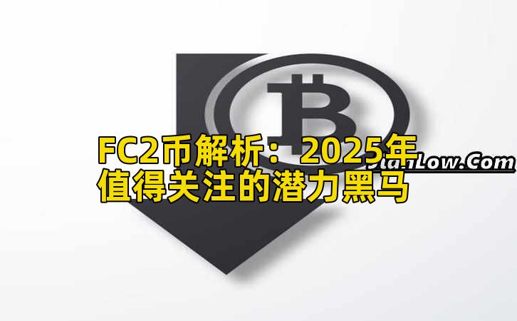 FC2币解析:2025年值得关注的潜力黑马插图 FC2币解析:2025年值得关注的潜力黑马插图