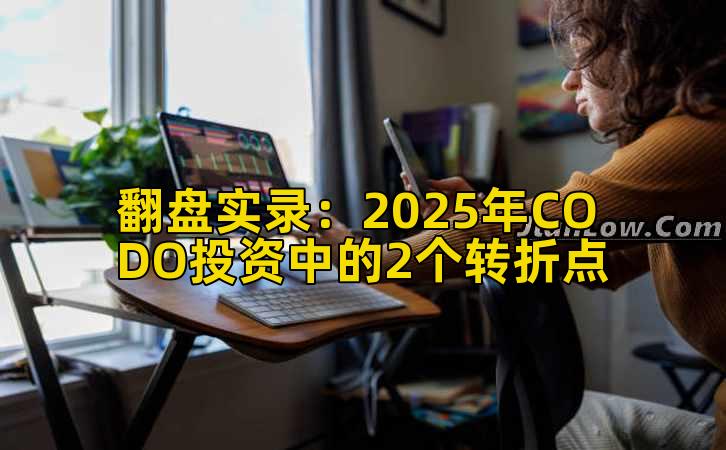 翻盘实录:2025年CODO投资中的2个转折点插图 翻盘实录:2025年CODO投资中的2个转折点插图