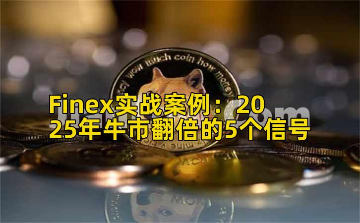 Finex实战案例：2025年牛市翻倍的5个信号插图