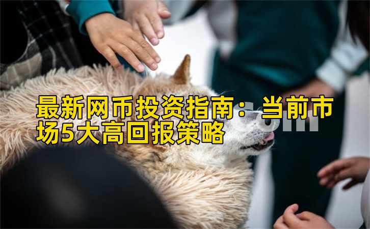 最新网币投资指南：当前市场5大高回报策略插图