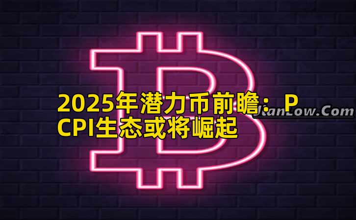 2025年潜力币前瞻:PCPI生态或将崛起插图 2025年潜力币前瞻:PCPI生态或将崛起插图