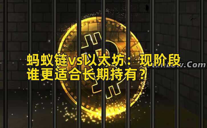 蚂蚁链vs以太坊：现阶段谁更适合长期持有？插图