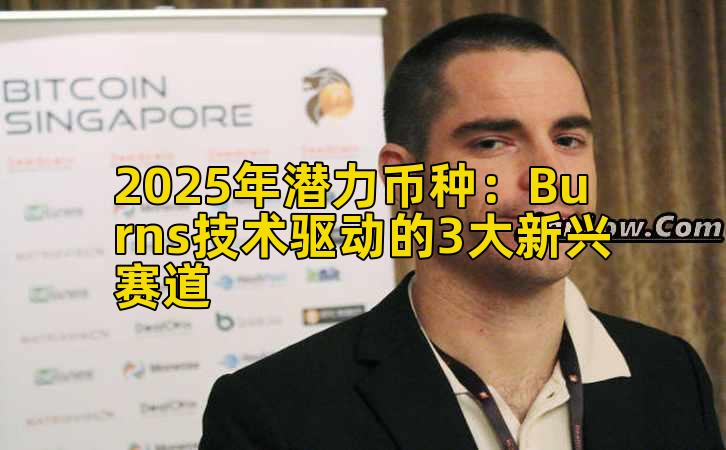 2025年潜力币种：Burns技术驱动的3大新兴赛道插图