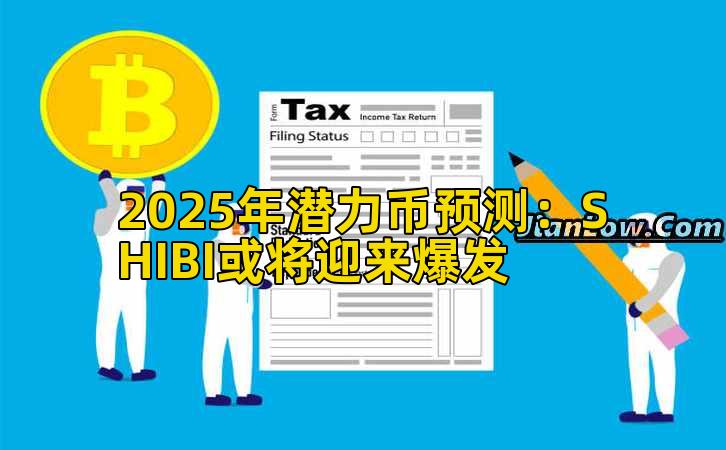 2025年潜力币预测:SHIBI或将迎来爆发插图 2025年潜力币预测:SHIBI或将迎来爆发插图