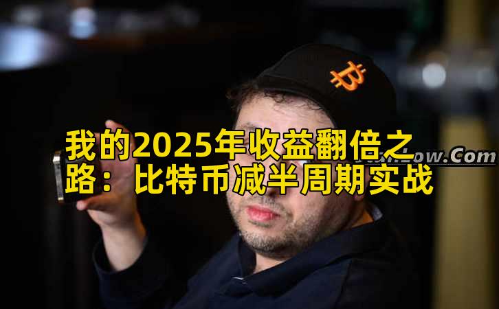 我的2025年收益翻倍之路:比特币减半周期实战插图 我的2025年收益翻倍之路:比特币减半周期实战插图