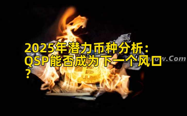 2025年潜力币种分析:QSP能否成为下一个风口?插图 2025年潜力币种分析:QSP能否成为下一个风口?插图
