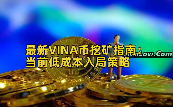 最新VINA币挖矿指南:当前低成本入局策略插图 最新VINA币挖矿指南:当前低成本入局策略插图