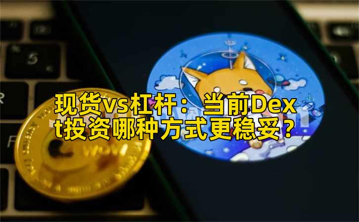 现货vs杠杆：当前Dext投资哪种方式更稳妥？插图