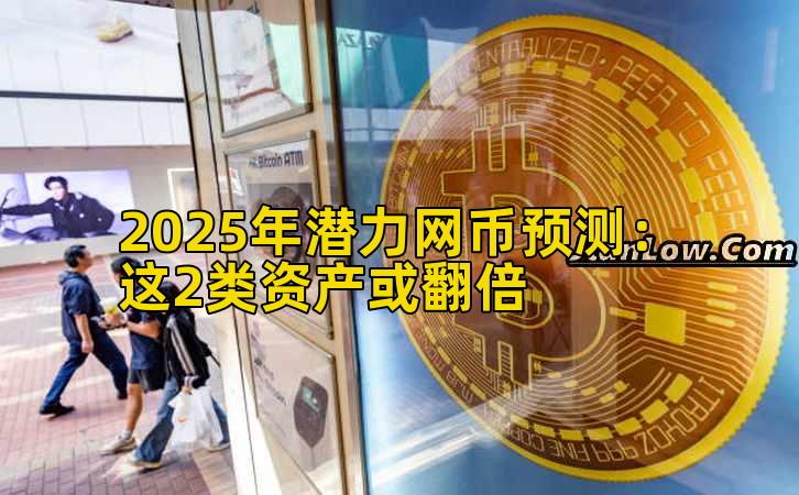 2025年潜力网币预测：这2类资产或翻倍插图