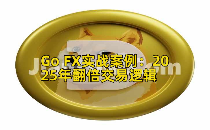Go FX实战案例：2025年翻倍交易逻辑插图