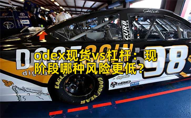 odex现货vs杠杆：现阶段哪种风险更低？插图