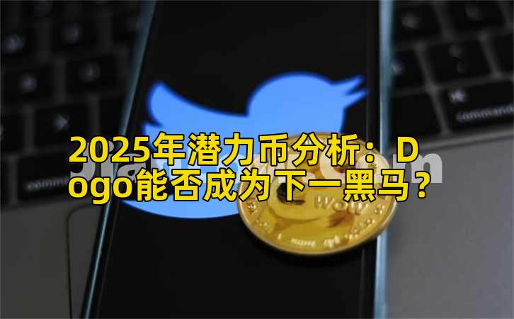 2025年潜力币分析:Dogo能否成为下一黑马?插图 2025年潜力币分析:Dogo能否成为下一黑马?插图