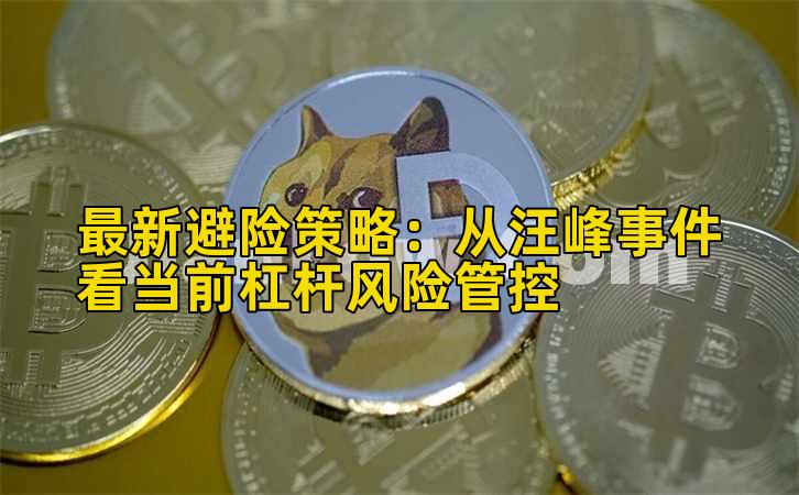 最新避险策略：从汪峰事件看当前杠杆风险管控插图