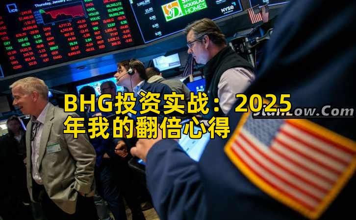 BHG投资实战:2025年我的翻倍心得插图 BHG投资实战:2025年我的翻倍心得插图