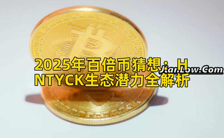 2025年百倍币猜想:HNTYCK生态潜力全解析插图 2025年百倍币猜想:HNTYCK生态潜力全解析插图