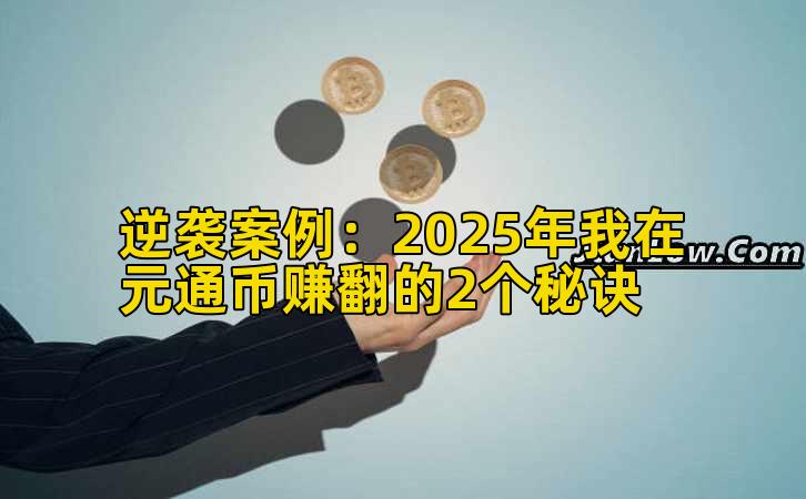 逆袭案例：2025年我在元通币赚翻的2个秘诀插图