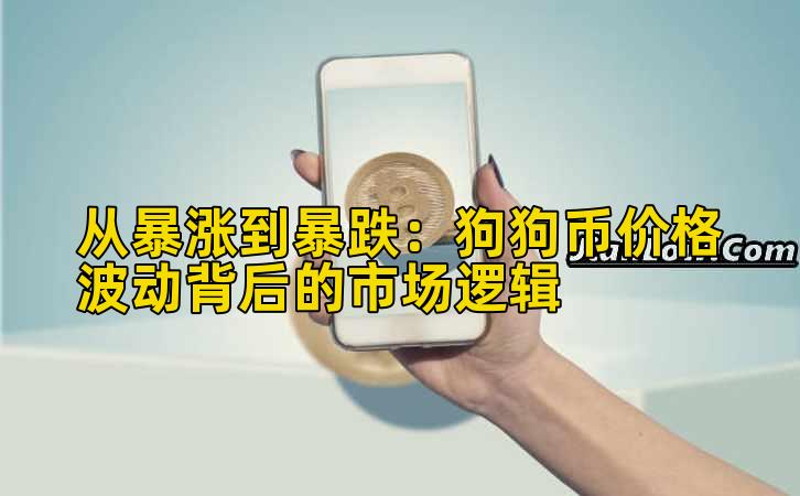 从暴涨到暴跌:狗狗币价格波动背后的市场逻辑插图 从暴涨到暴跌:狗狗币价格波动背后的市场逻辑插图