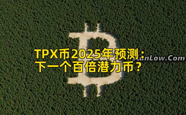 TPX币2025年预测：下一个百倍潜力币？插图