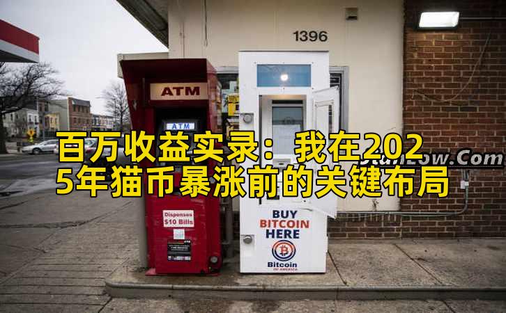 百万收益实录：我在2025年猫币暴涨前的关键布局插图
