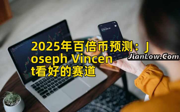 2025年百倍币预测：Joseph Vincent看好的赛道插图