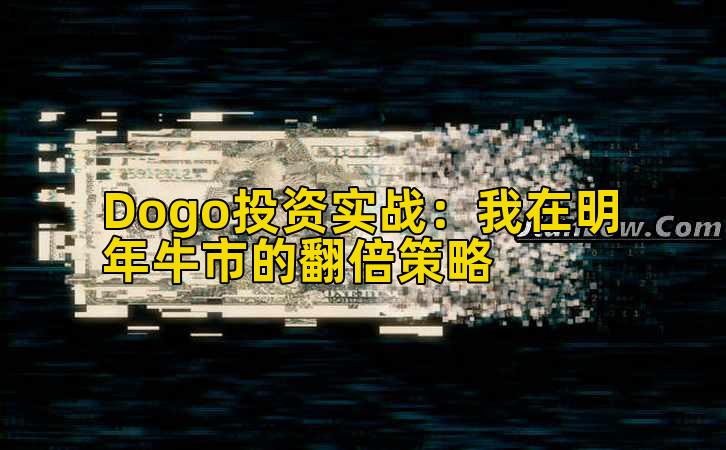 Dogo投资实战:我在明年牛市的翻倍策略插图 Dogo投资实战:我在明年牛市的翻倍策略插图