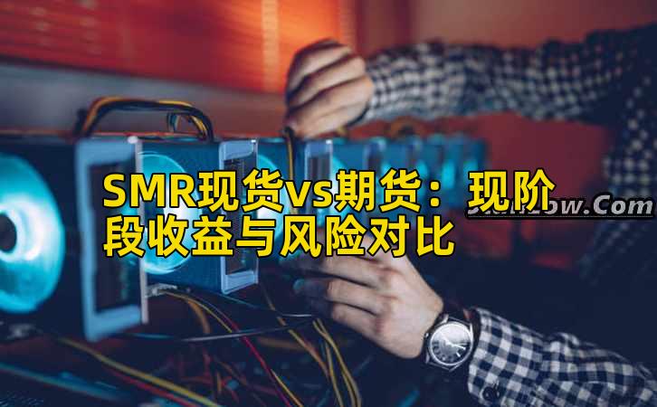 SMR现货vs期货:现阶段收益与风险对比插图 SMR现货vs期货:现阶段收益与风险对比插图