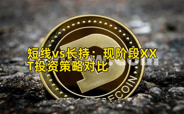 短线vs长持：现阶段XXT投资策略对比插图