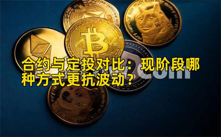 合约与定投对比：现阶段哪种方式更抗波动？插图