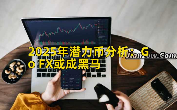 2025年潜力币分析:Go FX或成黑马插图 2025年潜力币分析:Go FX或成黑马插图
