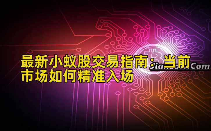最新小蚁股交易指南:当前市场如何精准入场插图 最新小蚁股交易指南:当前市场如何精准入场插图
