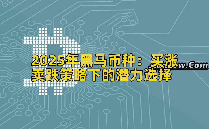 2025年黑马币种:买涨卖跌策略下的潜力选择插图 2025年黑马币种:买涨卖跌策略下的潜力选择插图