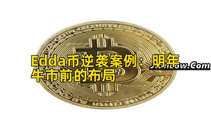 Edda币逆袭案例:明年牛市前的布局插图 Edda币逆袭案例:明年牛市前的布局插图