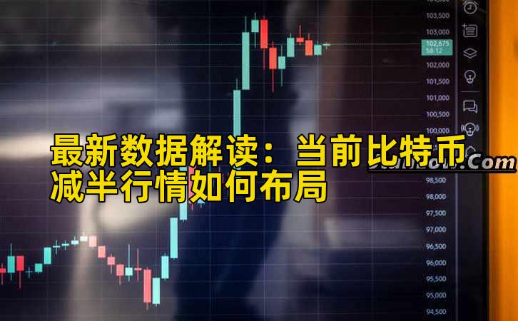 最新数据解读：当前比特币减半行情如何布局插图