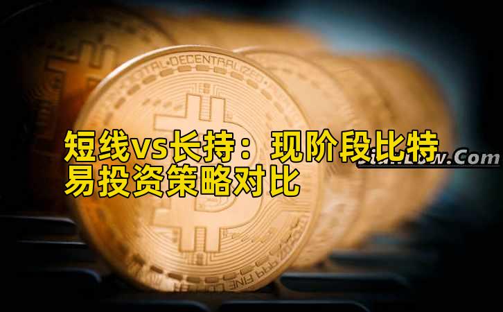 短线vs长持：现阶段比特易投资策略对比插图