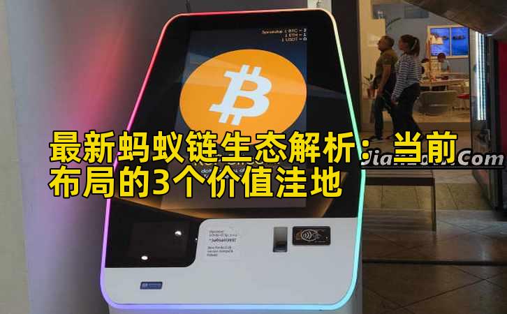 最新蚂蚁链生态解析：当前布局的3个价值洼地插图