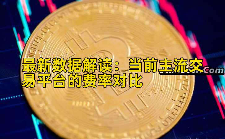 最新数据解读：当前主流交易平台的费率对比插图